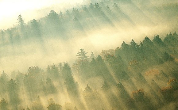 Freelance Web Designer, Chicago